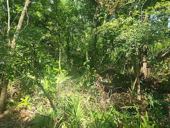 3rd image of TBD SE 218th Ave