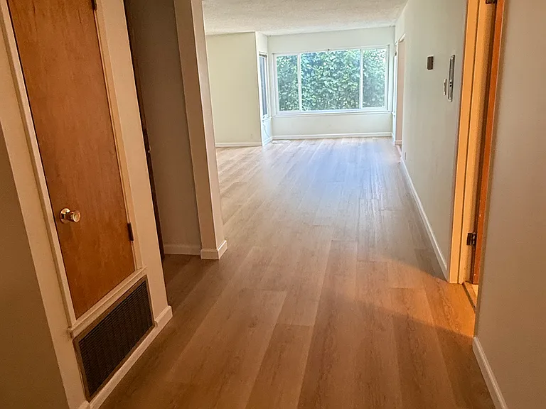 1010 Ashbury St #2 — Photo 3