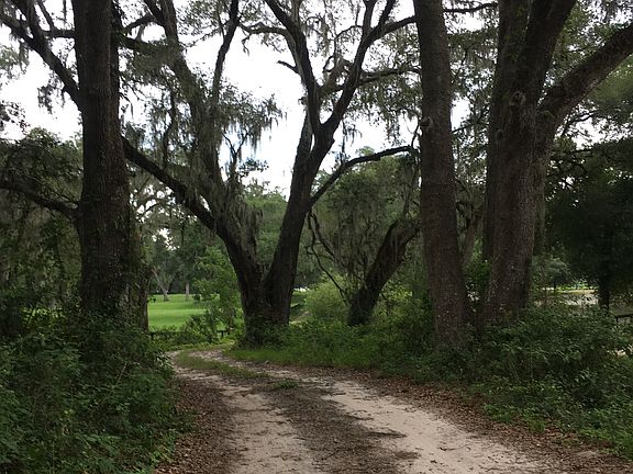 Beautiful 1500' Driveway