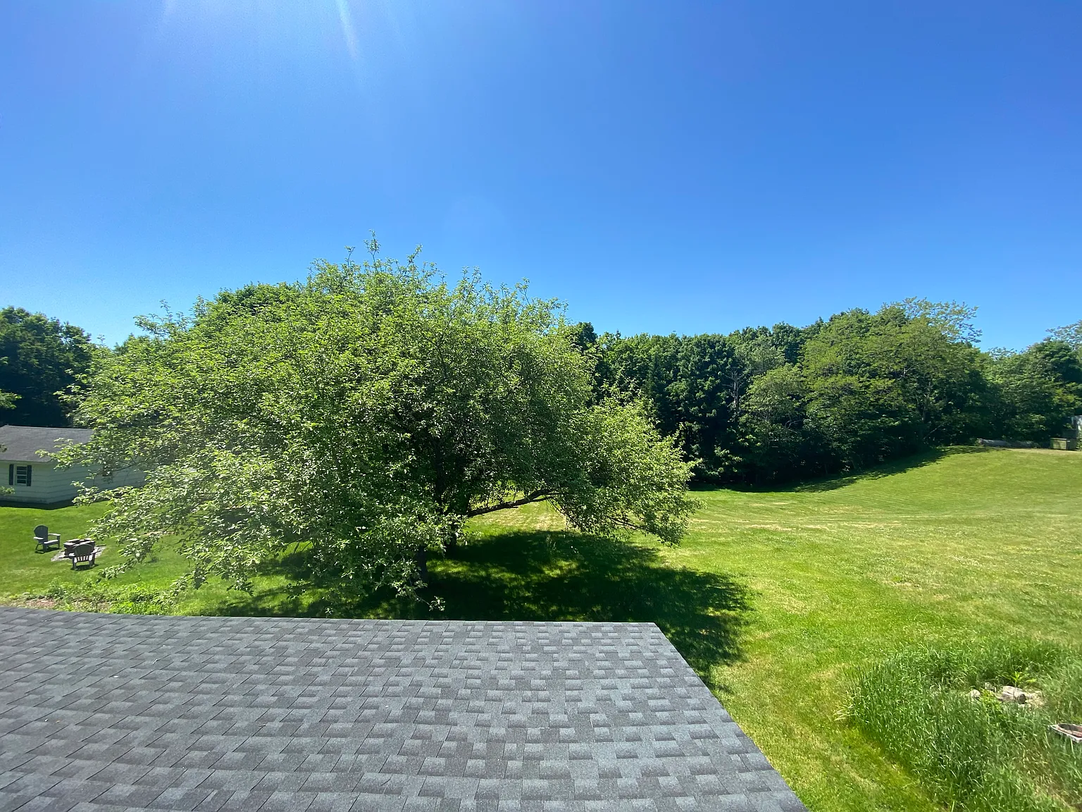 1 bed, 400 sqft, $1,600 — Photo 3
