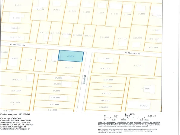 Mercer St, Union City, TN 38261