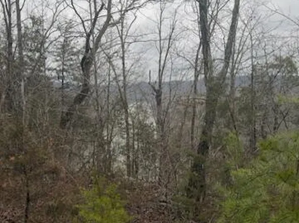 8.7 Wolf Gap Rd #8.7, Bronston, KY 42518