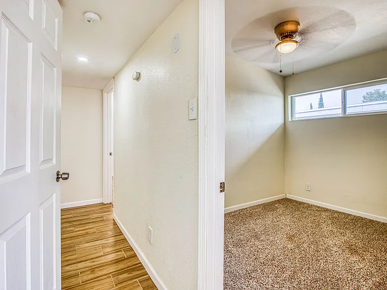 8818 Mount Elbert Dr — Photo 11