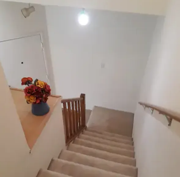 5307 Borneo Cir — Photo 17