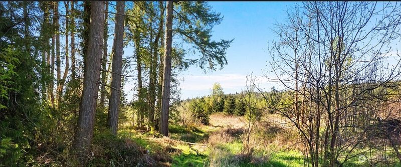 3rd image of 0 40 acres 185th Avenue SE