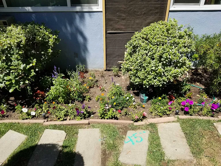 Fruitland Dr — Photo 3