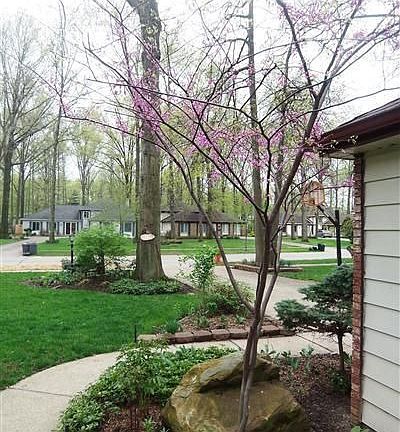 3rd image of 27832 Blossom Blvd