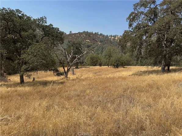 36530 Monarch Canyon Rd Lot 2, Coarsegold, CA 93614