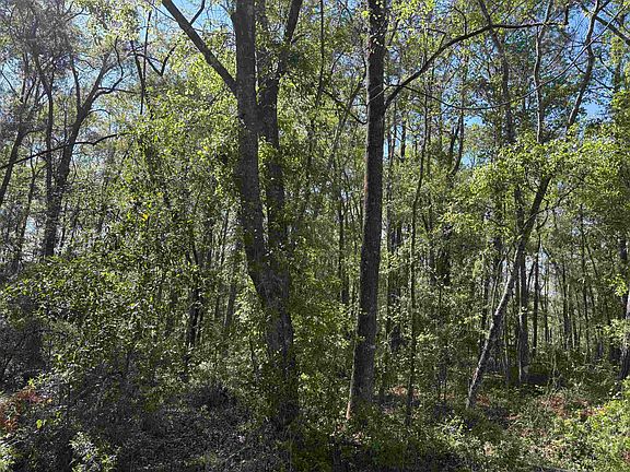 4th image of 0 Westview Ln