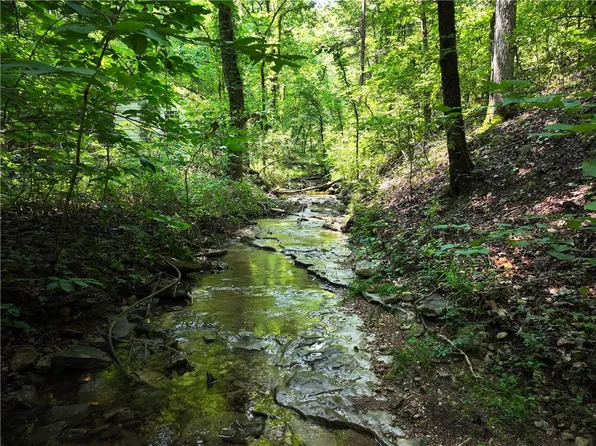 Nc #8872, Deer, AR 72628