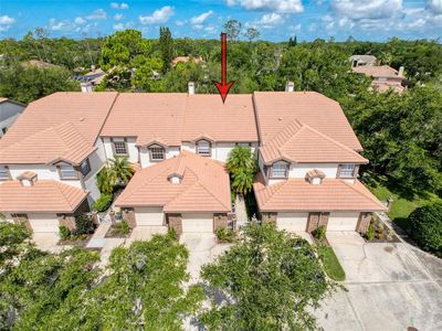 1292 Clays Trl, Oldsmar, FL, 34677