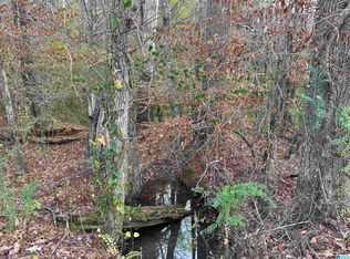 166 Warrior Robbins Rd, Warrior, AL 35180