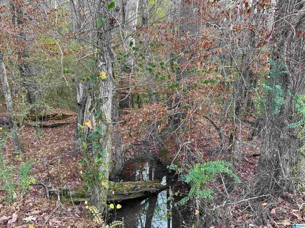 166 Warrior Robbins Rd, Warrior, AL 35180