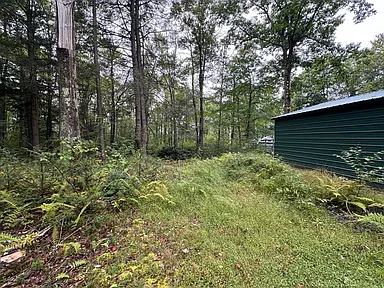 Property photo 40