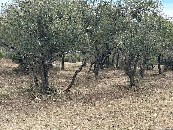 3rd image of 344 Bosque LOT 1828