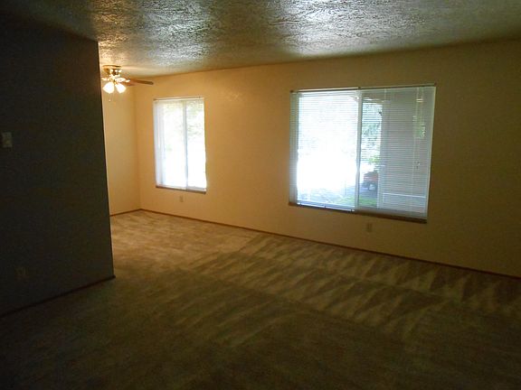 Lots of Natural Light