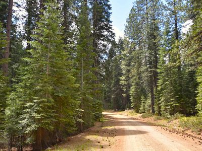 LOT 5 Twisted Pine Way, McCloud, CA, 96057