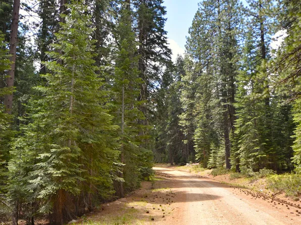 LOT 5 Twisted Pine Way, McCloud, CA 96057