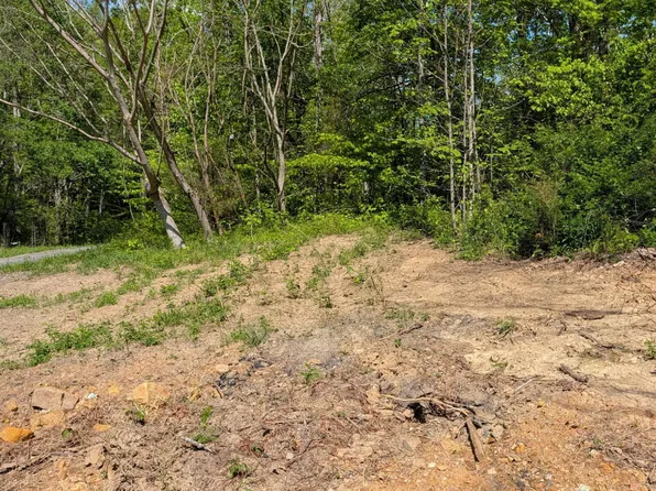 523 Sulphur Springs Rd, Rogersville, TN 37857