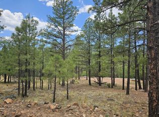 2788 Canyon View Dr, Happy Jack, AZ 86024