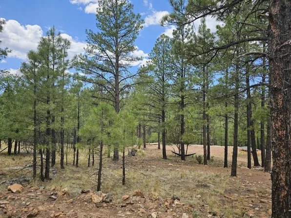 2788 Canyon View Dr, Happy Jack, AZ 86024