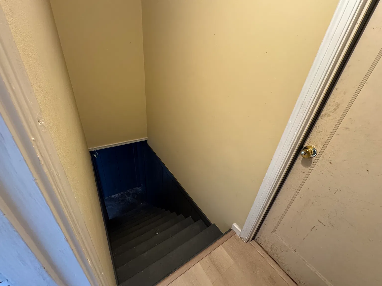 1 bed, 800 sqft, $3,200 — Photo 2