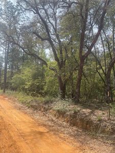 Olive Ln, Bonifay, FL, 32425