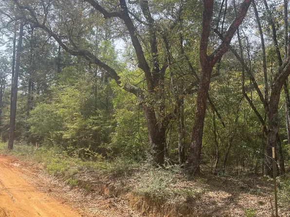 Olive Ln, Bonifay, FL 32425