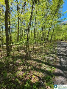 Dowbush Rd, Lehighton, PA, 18235