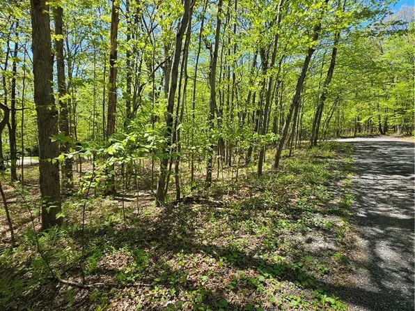 Dowbush Rd, Lehighton, PA 18235