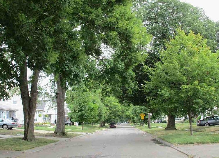 2nd image of 426 W Poinsetta Ave
