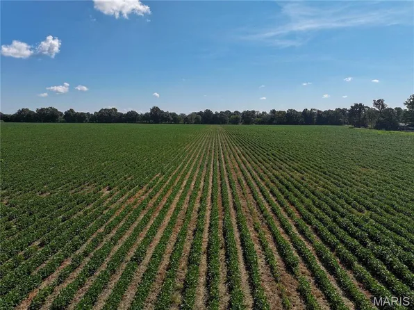 36996 State Highway 53 #D, Campbell, MO 63933