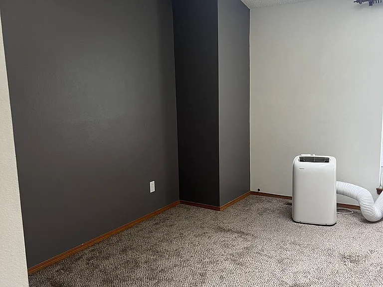 Master bedroom accent wall.