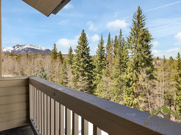 4020 Silverheels Dr #1274-unit 12 — Photo 2