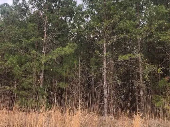 W Deer Rd, Timmonsville, SC 29161