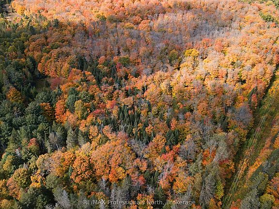 3rd image of 276 Fern Glen Rd
