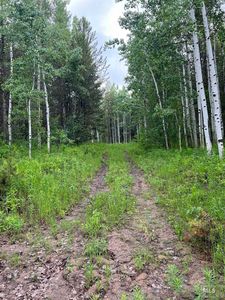 4351 Ridge Crst, Ashton, ID, 83420