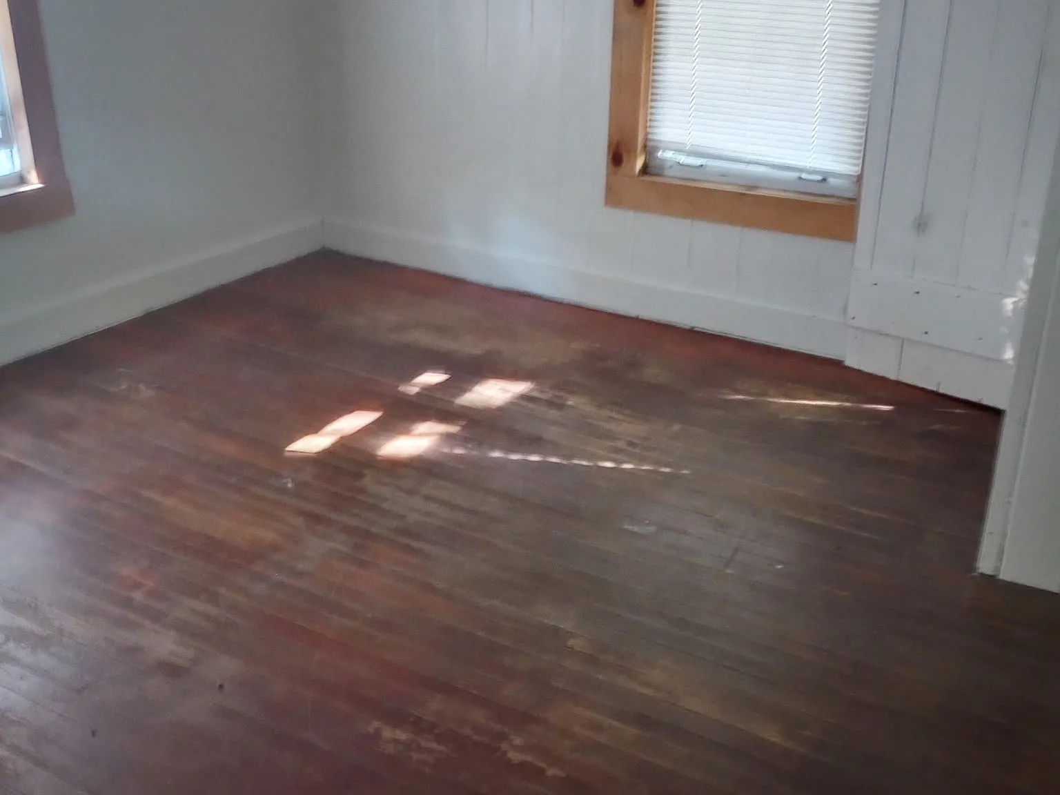 1 bed, 600 sqft, $675 — Photo 2