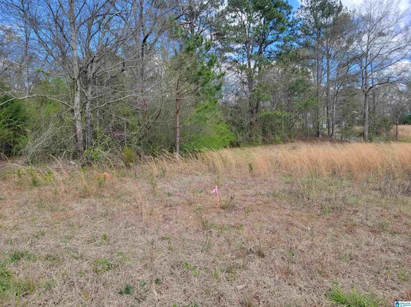 997/ACRE S Talley St #4, Roanoke, AL 36274