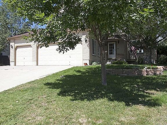 Big, mature trees in yard
