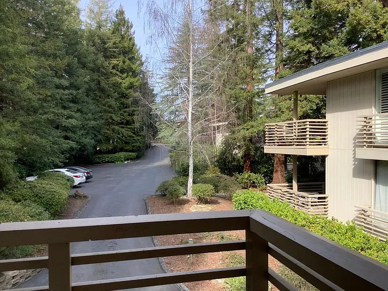 1100 Sharon Park Dr #41 — Photo 4