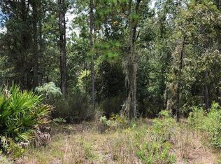 NE 66th Ln, Bronson, FL 32621