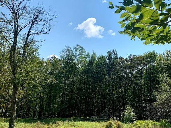 Red Hill Road, Claryville, NY 12725