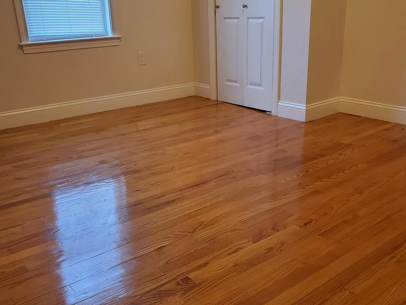 1 bed, 650 sqft, $1,995 — Photo 4