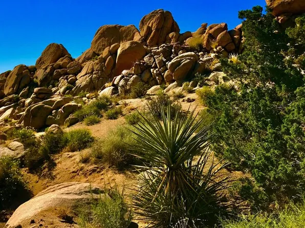 6220 Mirlo Ct, Yucca Valley, CA 92284