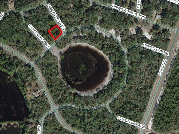 Fisher Loop Lot 8, Ocklawaha, FL 32179