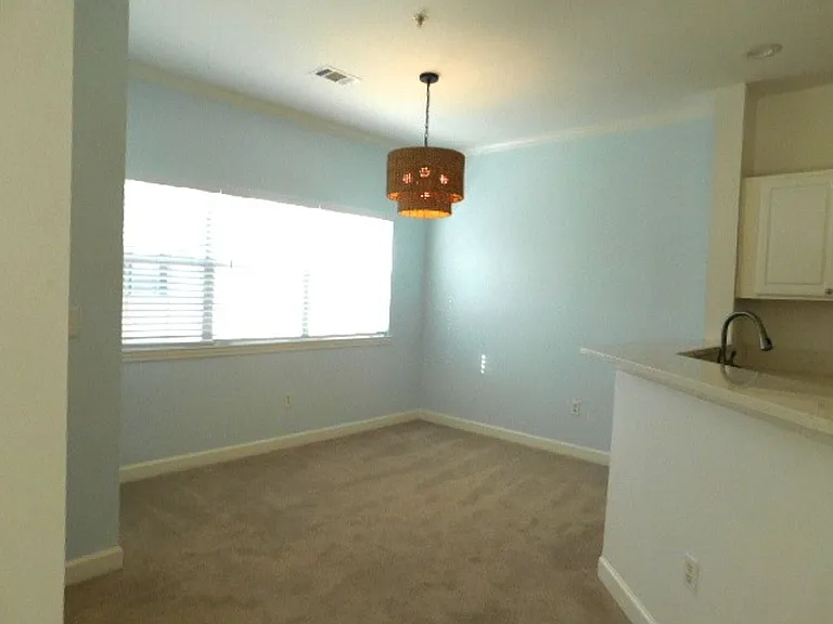 4 Indigo Run Dr #2210 — Photo 8