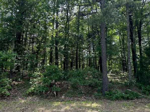 91 Dave Creek Pkwy, Fairfield Bay, AR 72088