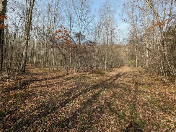 0 Wolf Run Rd, Campbell, NY 14821