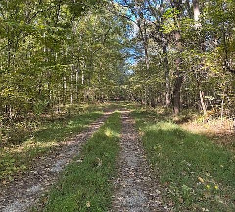 3rd image of LOT 1210 Lee Pl